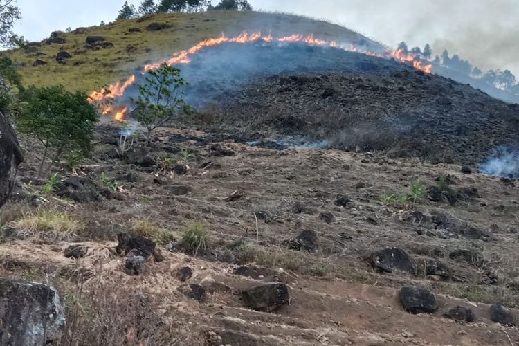 Kebakaran Hutan di Kawasan Danau Toba